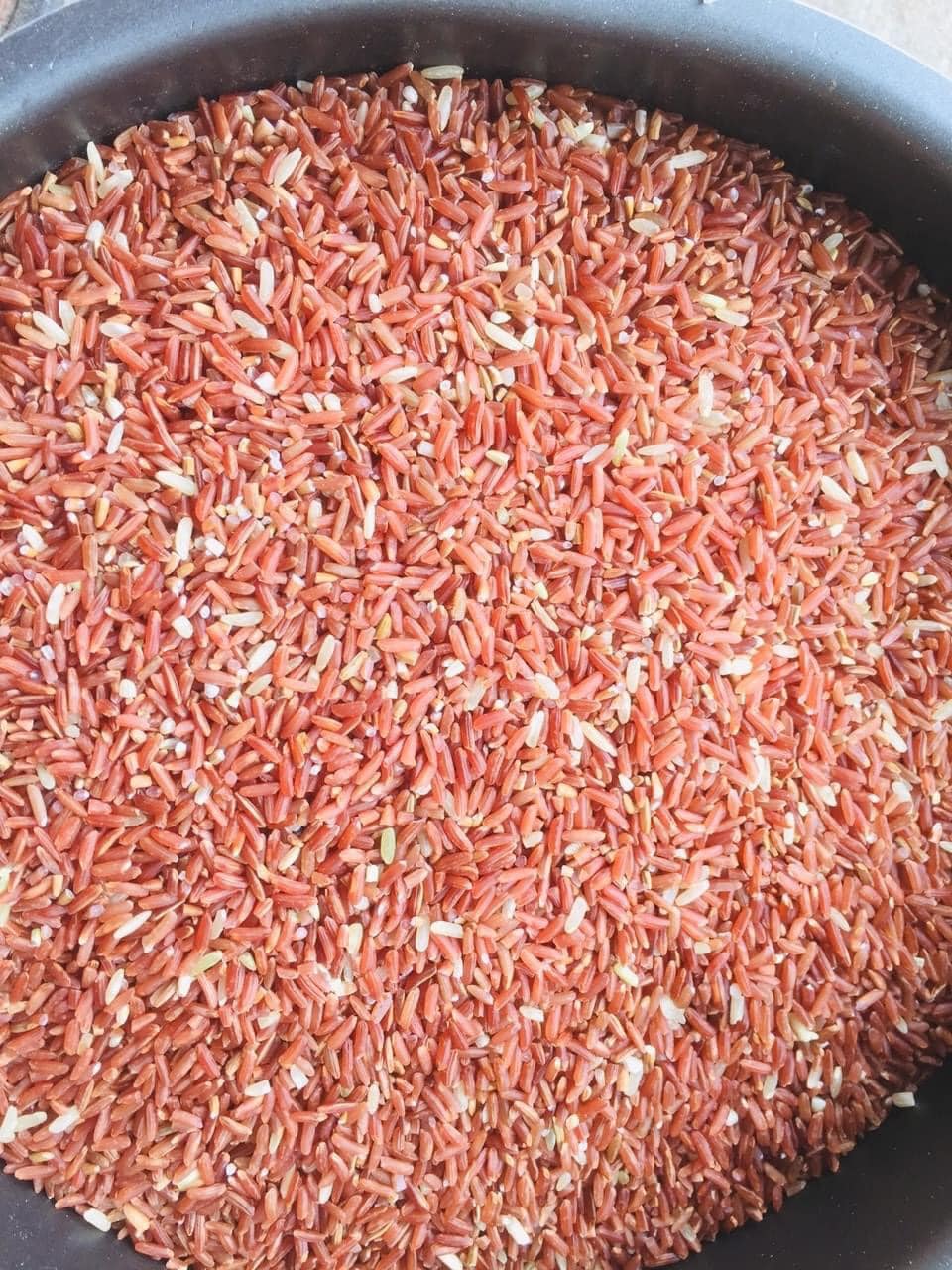 Gạo lứt đỏ chất lượng tại Vita Market