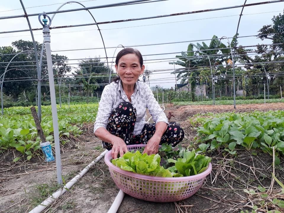 Ms. Vũ Hồng Hoa - chủ vườn rau Ananda