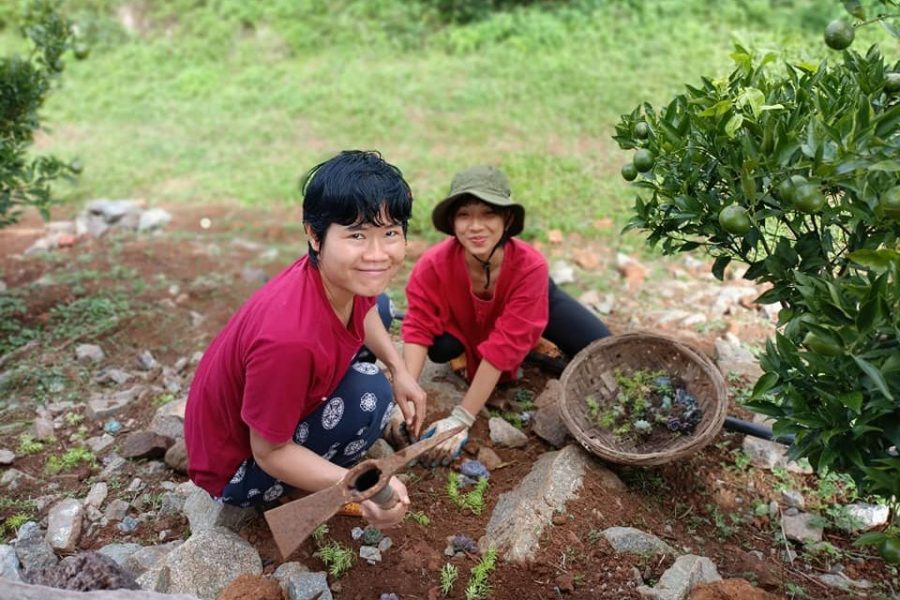 Cam Canh Măng Đen - Orfarm - vườn anh Hùng