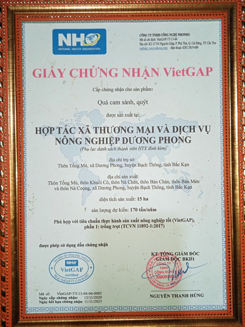 Cam Bắc Cạn đạt chứng nhận Vietgap
